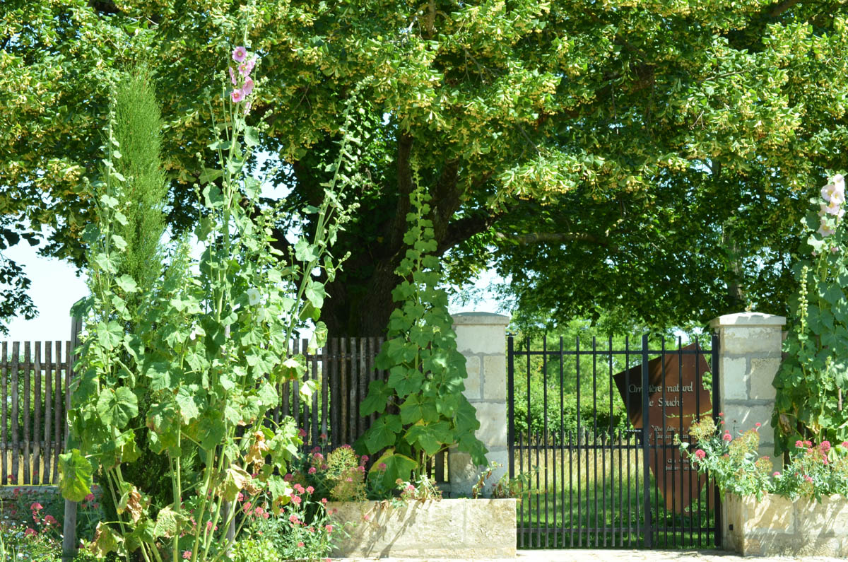Inhumation ou crémation