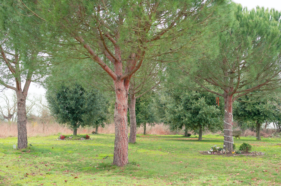 cimetière écologique de Niort