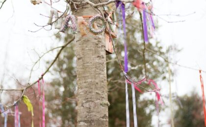 Cimetière écologique : et si on reposait sous un arbre ?