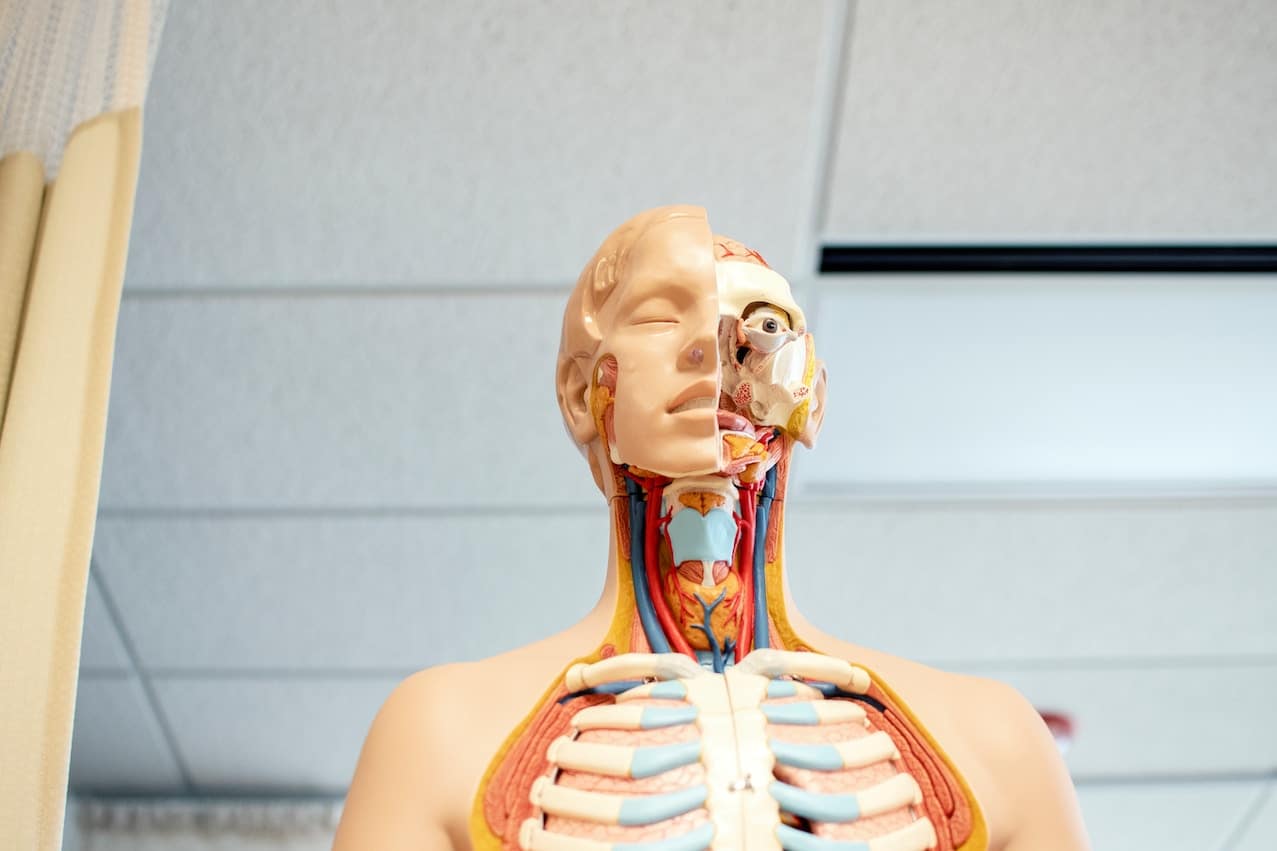 Votre clé du succès : Médicament