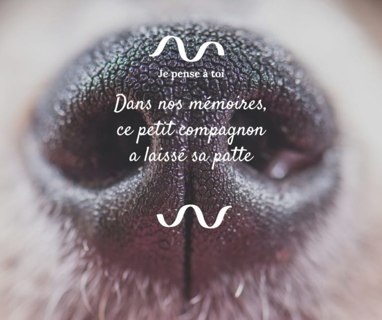 Cartes de condoléance Happy End