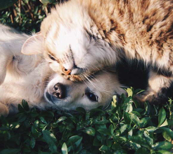 10 Jolies Citations Sur Le Deuil Pour Exprimer Vos Condoleances