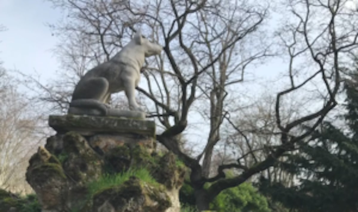 cimetière-animaux