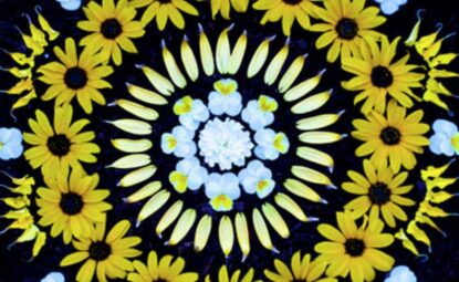 Obsèques : créez un mandala floral pour rendre hommage à votre défunt