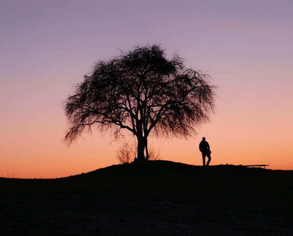 Urnes-arbre