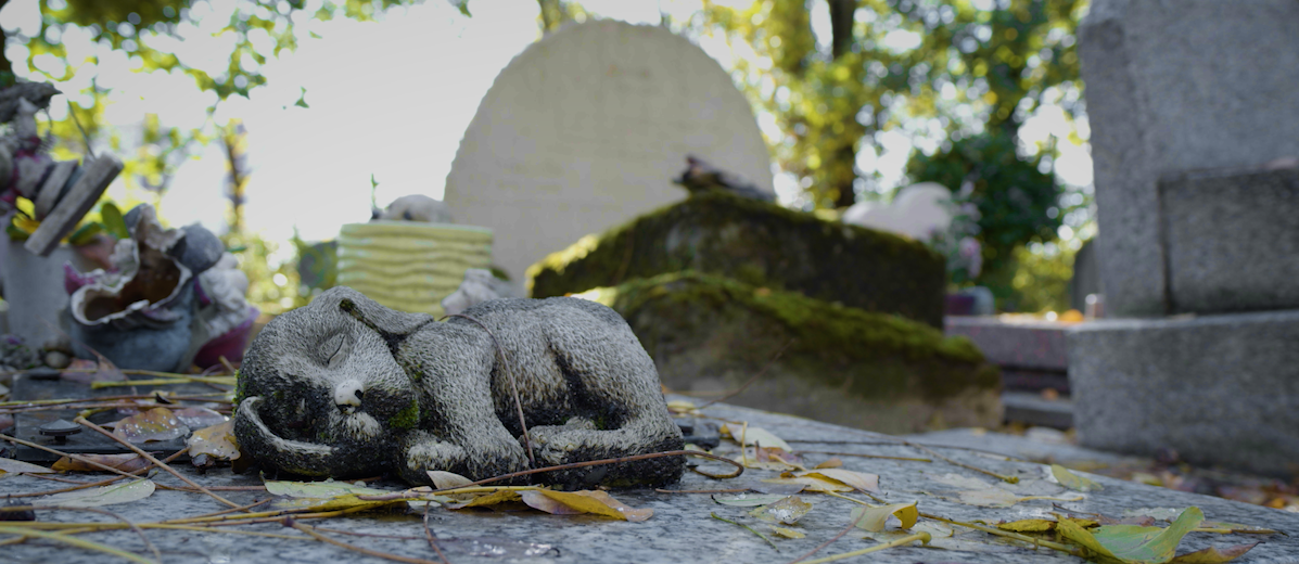 Cimetière animal