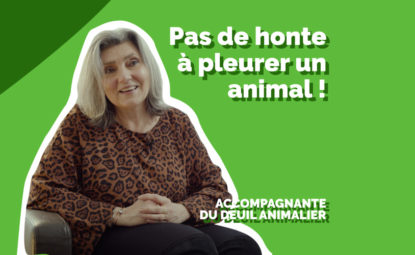 (VIDÉO) Deuil d’un animal : un deuil comme les autres !