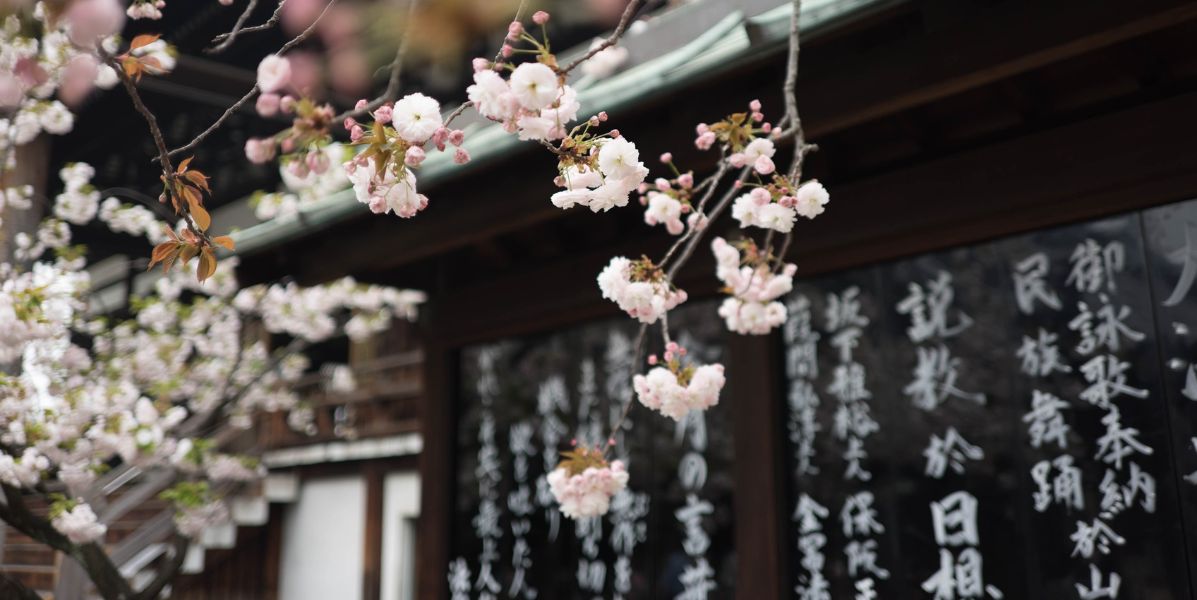 Les cimetières high tech au Japon se développent de plus en plus pour lutter contre le manque de place