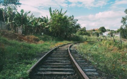 Le train de la vie