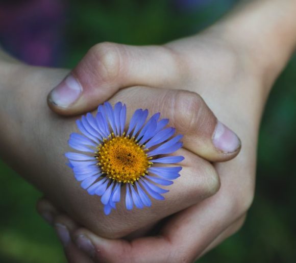 Deux mains jointes tiennent une fleur violette.
