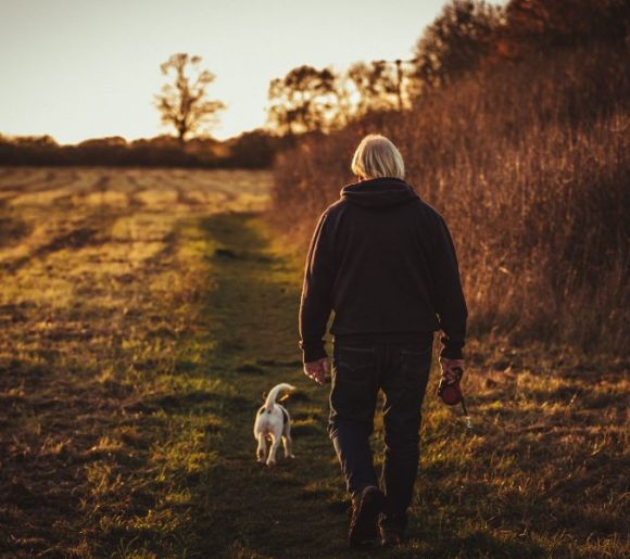 Vieil homme avec son chien marchant dans un pré vers. le soleil couchant.