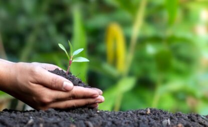 Le compost humain devient légal dans l’État de New York !