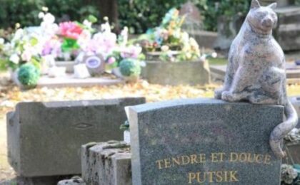 Les cimetières pour animaux essaiment en France