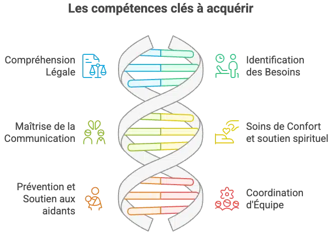 Infographie : Les compétences clés à acquérir à l'accompagnement de la fin de vie