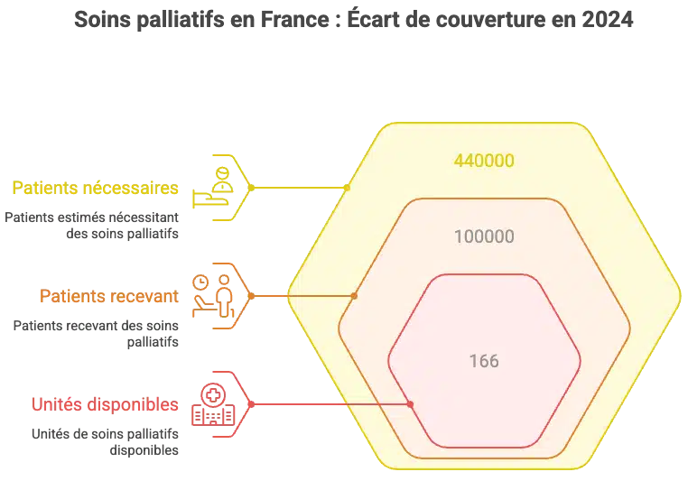 Infographie : Soins palliatifs en France : Écart de couverture en 2024